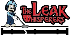 The Leak Whisperers